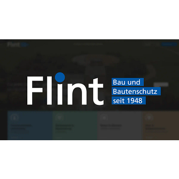 Flint Technology Services