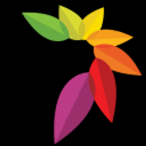 company-logo