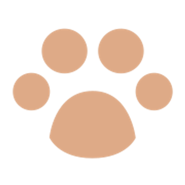 Little Bears Nursery