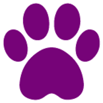 Highgate Vets