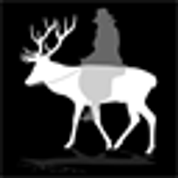 White Stag Industrial limited
