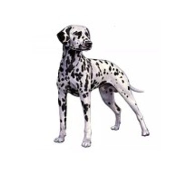 Bell Fire and Security Ltd