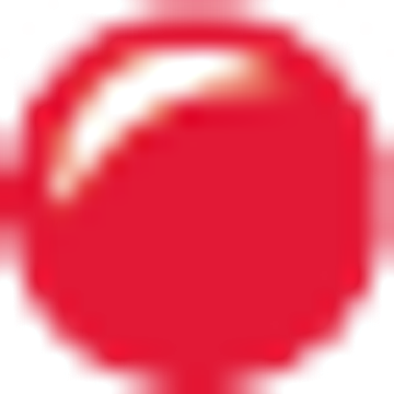 Dogs Trust Company Limited