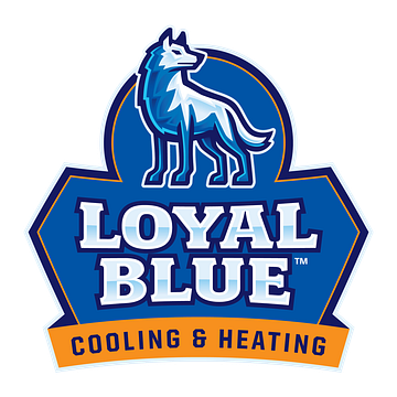 Loyal Blue Recruitment