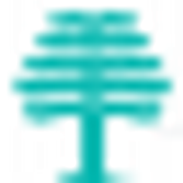 Eleusis Structural Engineering Ltd