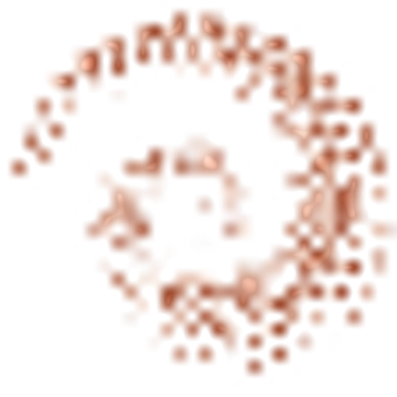 The Field Solutions Group