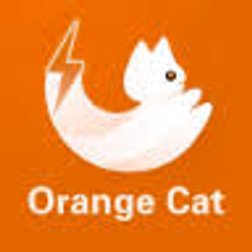 Orange Cat Recruitment Careers