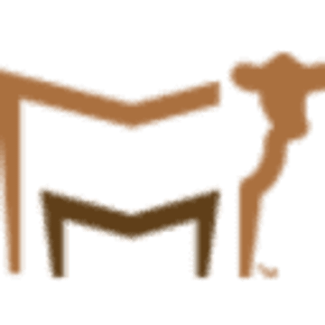 Cow & Calf - 172090