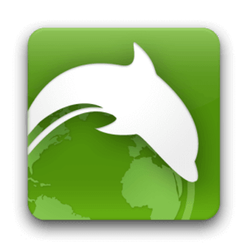 Dolphin Stone Consultancy