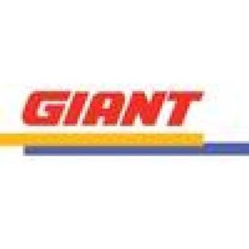 GIANT PROFESSIONAL LIMITED