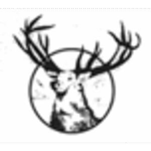 company-logo