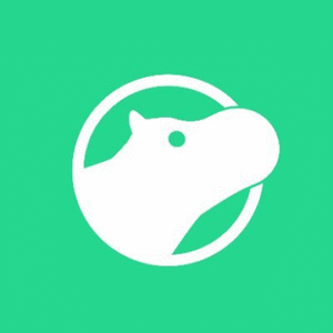 company-logo