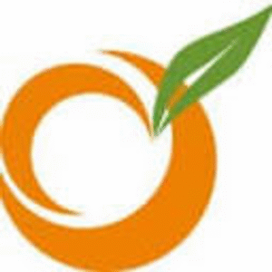 company-logo