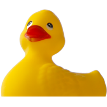 Duck in the Pond