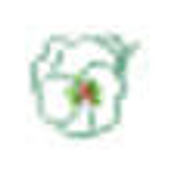 Spring Nurseries by Action for Children