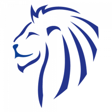 BLUE LION TRAINING ACADEMY