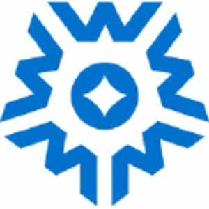 company-logo
