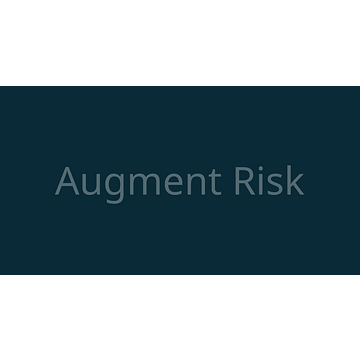 Augment Risk Services LLC
