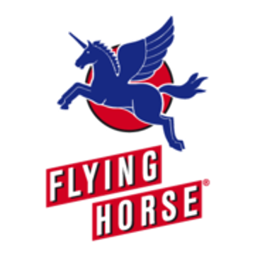 Flying Horse