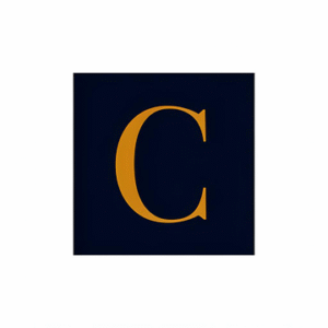 company-logo