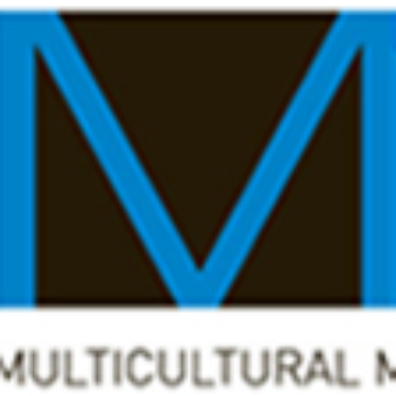 Multicultural Marketing Consultancy