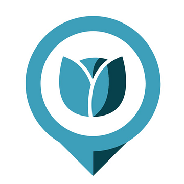 Albany Cleaning Services