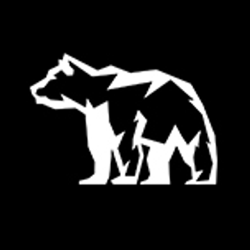 Bear IT
