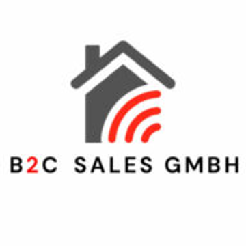 B2C Sales Lead
