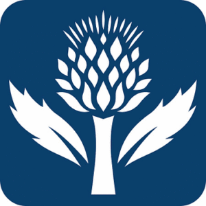 company-logo