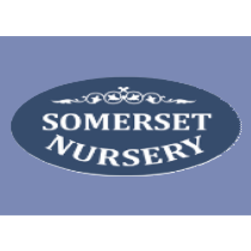 Somerset Nursery Services Ltd.