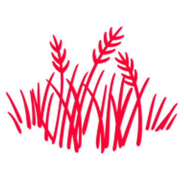Westfieldprimary