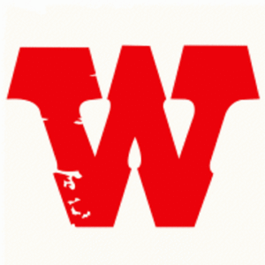 company-logo