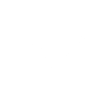 Eros Innovation