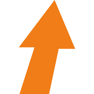 FLS (SINGAPORE) PTE. LTD.