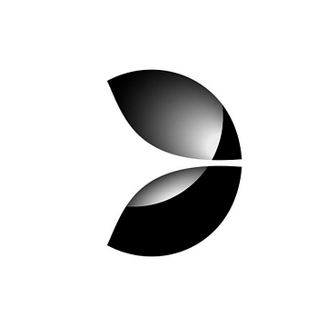 Evolution Growth Partners