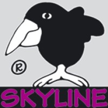Skyline naxas property management