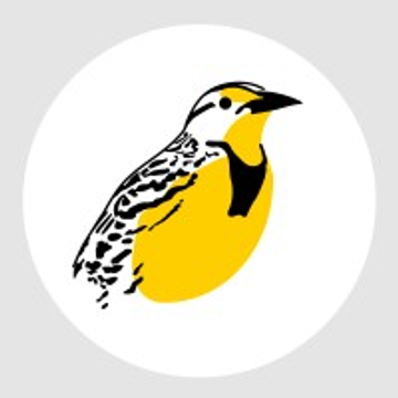 Meadow Lark