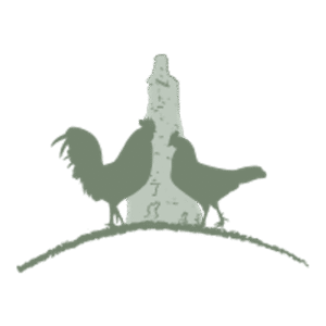 company-logo