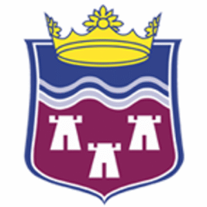 company-logo