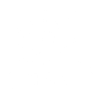 F2 AI