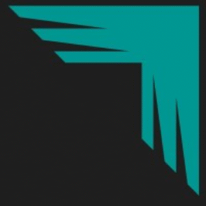 company-logo