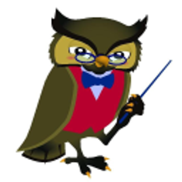 OWL TUTORS LIMITED
