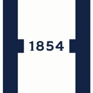 company-logo