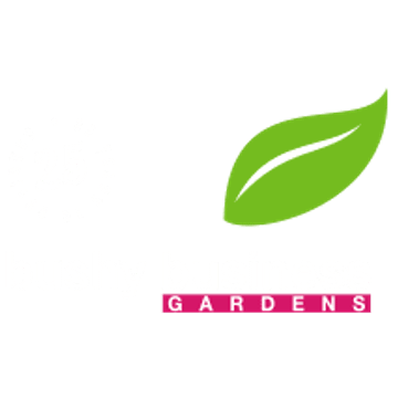 Bushy Business Ltd