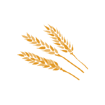 Aura Commodities