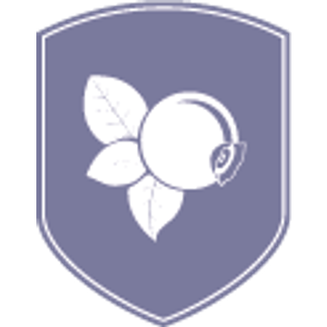 Blueberry Wealth Limited