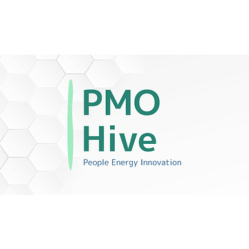 PMO Hive Ltd