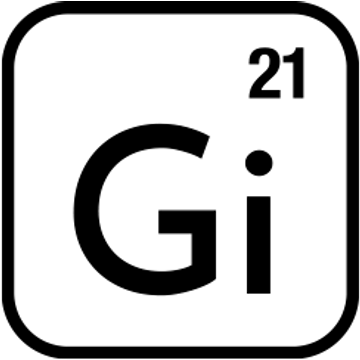Gi21 Capital group