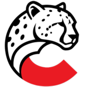 company-logo