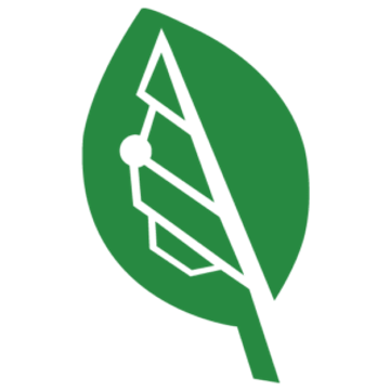 Big Leaf Foundation